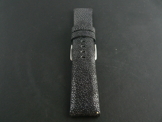 PAN113 Stingray Calf 1 - Pam